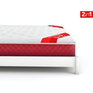 Molty sleep executive